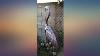 Garden Statues Standing Heron Sculptures for Outdoor Metal Bird Yard Art